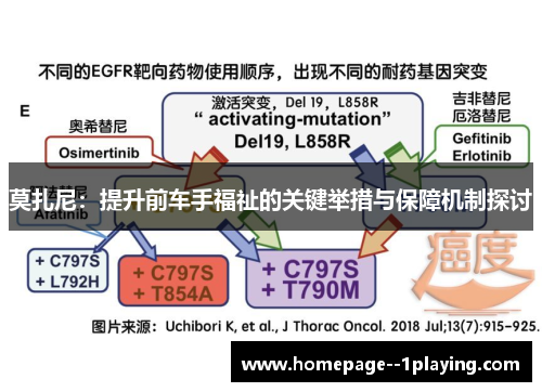 莫扎尼：提升前车手福祉的关键举措与保障机制探讨