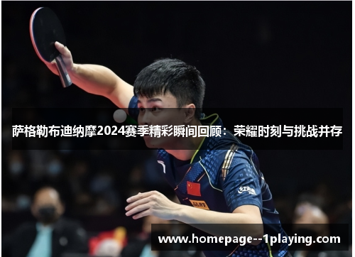 萨格勒布迪纳摩2024赛季精彩瞬间回顾：荣耀时刻与挑战并存