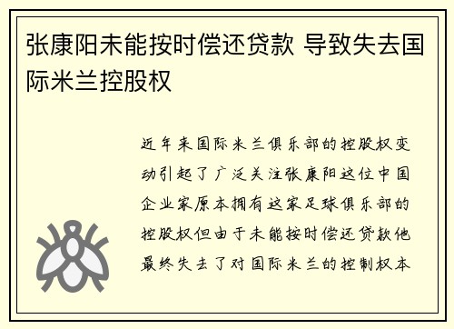 张康阳未能按时偿还贷款 导致失去国际米兰控股权